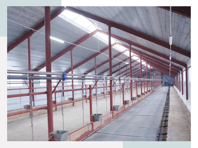 Строительство коровников в Канске от 656 руб.