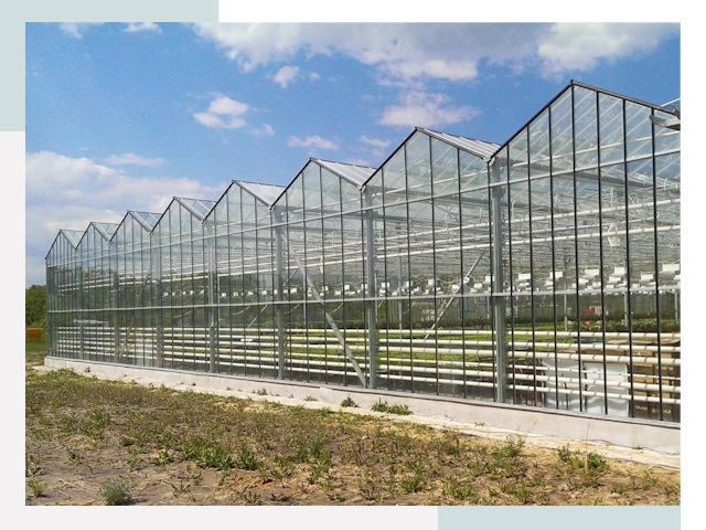 Строительство теплиц в Канск от 656 руб. за м²
