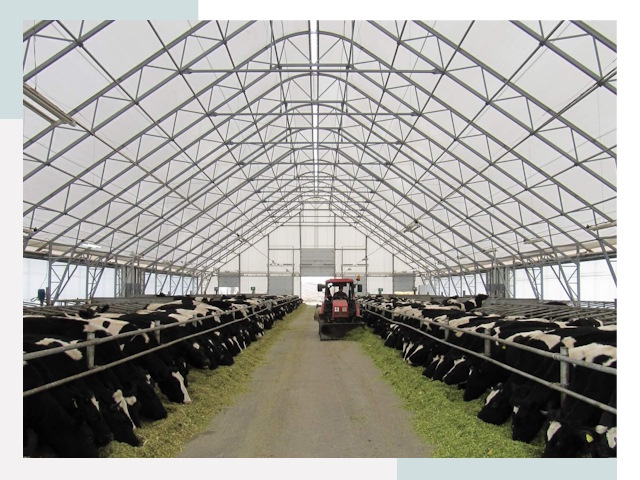 Тентовые коровники в Канске от 656 руб. - Надежно и доступно