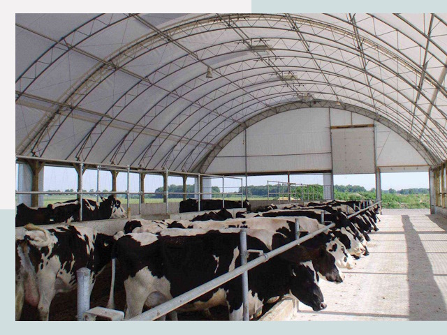 Тентовые коровники в Канске